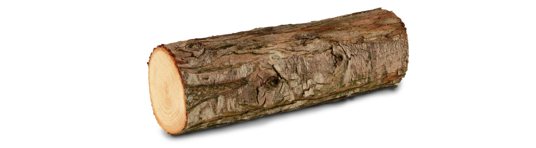 tree-log-louisville-ky